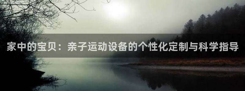 意昂体育4平台注册流程图：家中的宝贝：亲子运动设备的个性化定