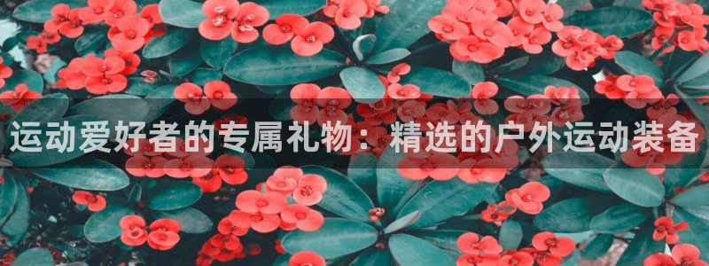 意昂集团官网：运动爱好者的专属礼物：精选的户外运动装备