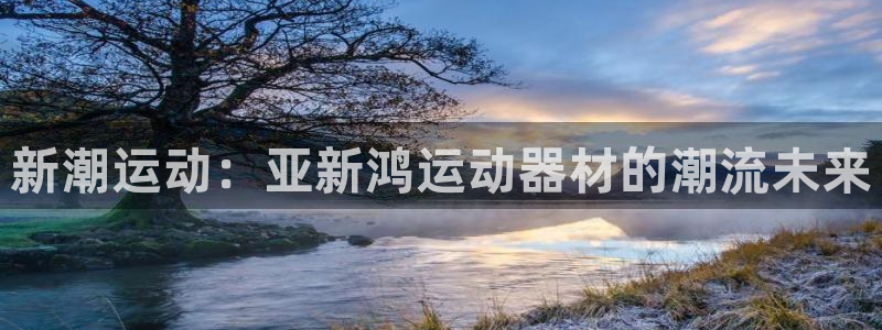 意昂4五金厂：新潮运动：亚新鸿运动器材的潮流未来