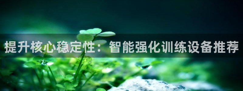 意昂体育4招商电话号码查询：提升核心稳定性：智能强化