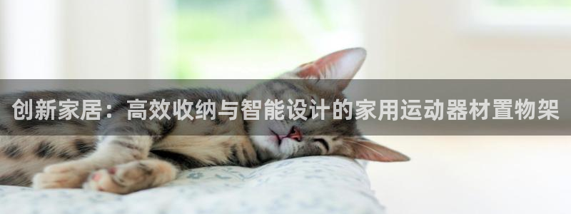 意昂4娱乐是那个系列的台子：创新家居：高效收纳与智能