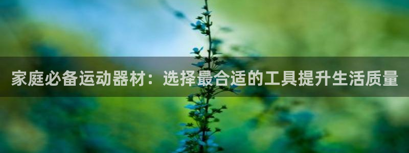 海南意昂体育4：家庭必备运动器材：选择最合适的工具提