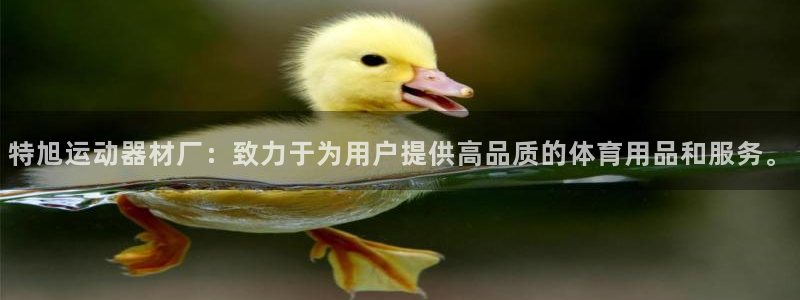 意昂4娱乐首页网站大全：特旭运动器材厂：致力于为用户提供高品