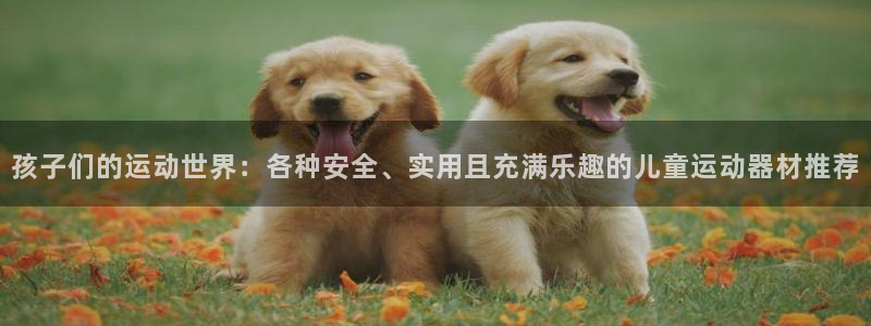 意昂4娱乐网站：孩子们的运动世界：各种安全、实用且充满乐趣的