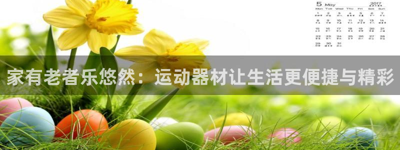 海南意昂体育4：家有老者乐悠然：运动器材让生活更便捷与精彩