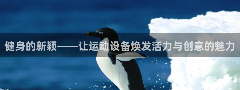 意昂4官网：健身的新颖——让运动设备焕发活力与创意的魅力