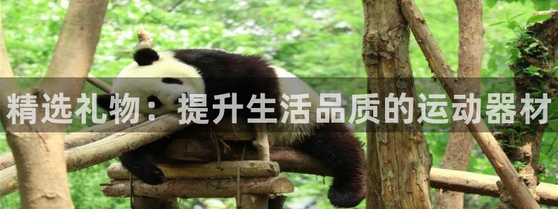 意昂4娱乐网站：精选礼物：提升生活品质的运动器材