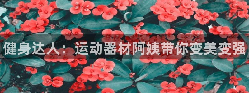 意昂4娱乐平台：健身达人：运动器材阿姨带你变美变强