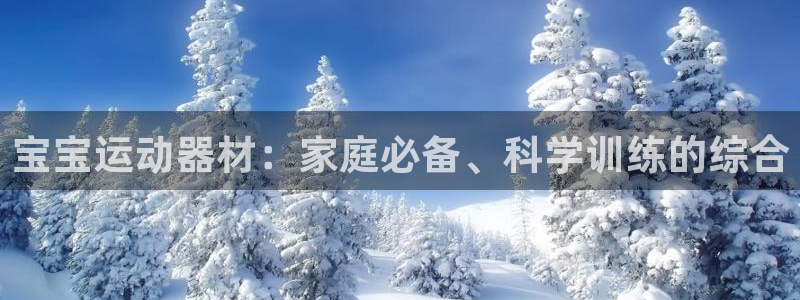 意昂4开户:宝宝运动器材:家庭必备、科学训练的综合